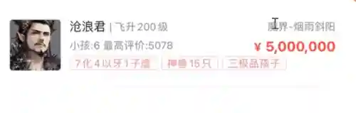 大话西游2藏宝阁手机版(大话西游2网易官方网站)