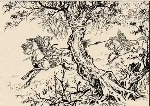 郭淮独行独斗阵容搭配(三国志战略版郭淮最强阵容)插图93