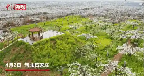 战国英雄手游版烈焰飞雪(新战国英雄有手游吗)插图27