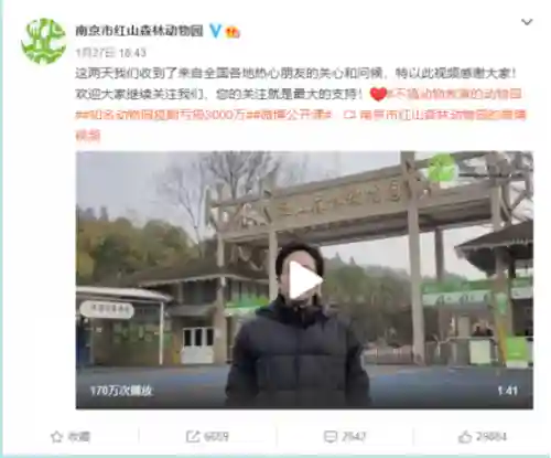 代号战歌侠士阵容搭配(战歌竞技场最强T0阵容)插图7 代号战歌侠士阵容搭配(战歌竞技场最强T0阵容)插图7