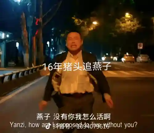 纯爱战士阵容搭配图(碧蓝航线t0阵容)插图2