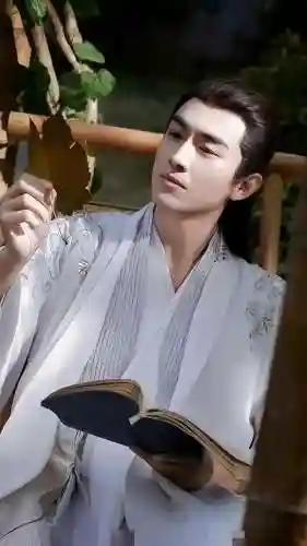 美男五黑阵容搭配(王者荣耀5黑阵容排名)插图28