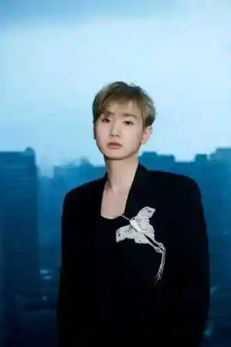 我是歌手阵容搭配(胡桃主c搭配什么阵容)插图11