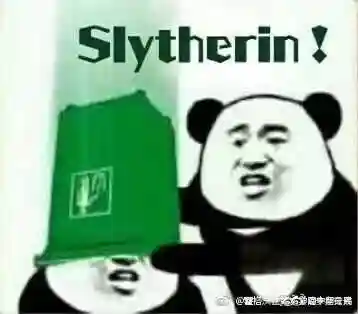 中文版霍格沃茨分院比例测试(wizardingworld分院测试)插图10