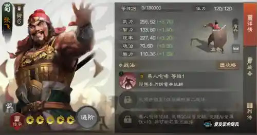 徐庶阵容搭配新手(三国志战略版徐庶t0阵容)插图1
