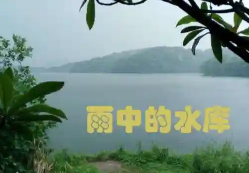小桃园怎么样(南京的小桃园在哪儿)