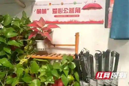 萌萌手游公益服(萌萌mt2公益服官网)