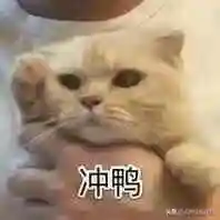 4399小游戏闯关(免费的游戏大全)插图1