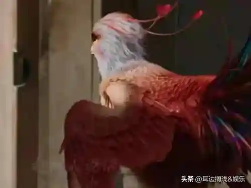 呆萌凤凰阵容装备搭配(萌将风云阵容搭配)插图3