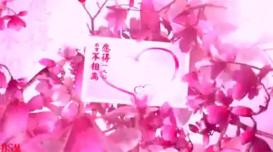 情人节图片(七夕照片配图)插图6