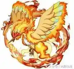 口袋妖怪银魂攻略图一周目(金心银魂 图文攻略)插图2
