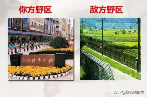 敌我英雄阵容搭配图片(英雄联盟最新下棋阵容)插图7
