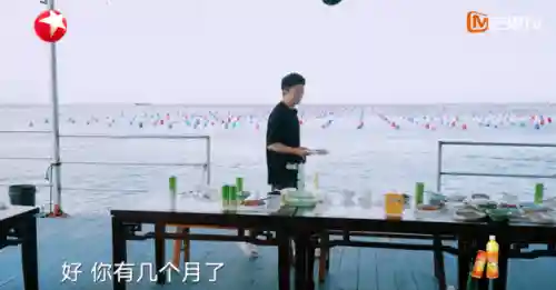 综艺推荐排行榜(2024最火十大综艺)插图25