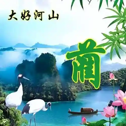 头像图片400张(2024最好运头像)插图57