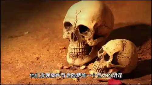 犯罪大师侦探联盟(CRIMASTER犯罪大师官网)插图1