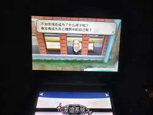 口袋妖怪黑白一周目图文攻略(pokemmo黑白一周目攻略)插图6