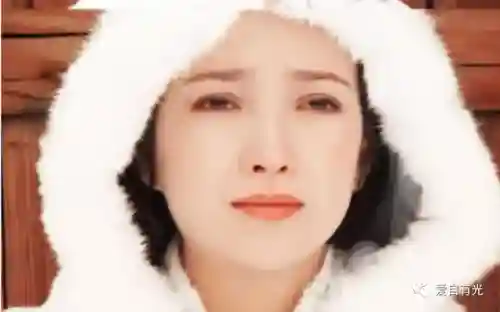 从射雕开始霸美(射雕重生之我是穆念慈)插图8