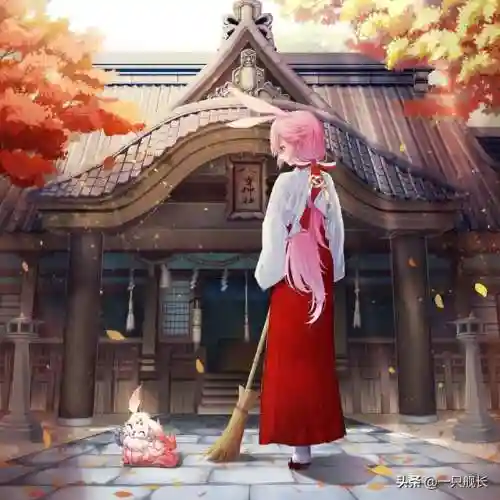 崩坏3 勿亡搭配阵容(崩坏3最强输出阵容)插图7