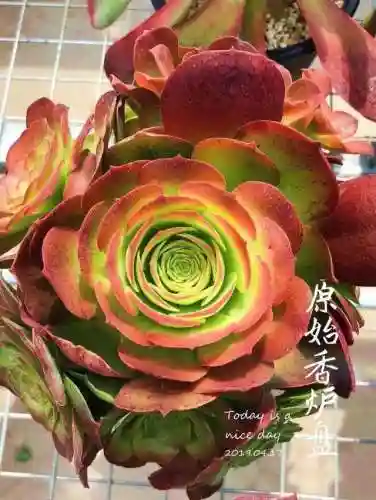 法师最牛最霸气名字(一眼就看出是玩法师的ID)插图32