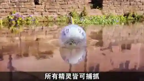 口袋精灵阵容搭配推荐(精灵宝贝平民最强阵容)插图4
