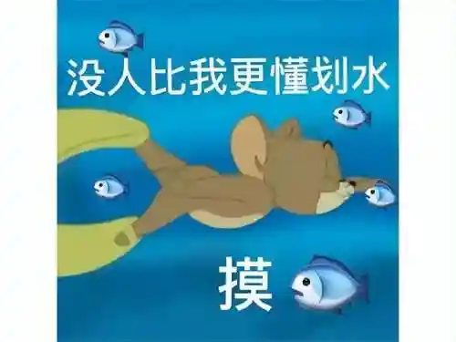 摩尔庄园黑森林通行证(摩尔庄园穿记者服也没有相机)插图1