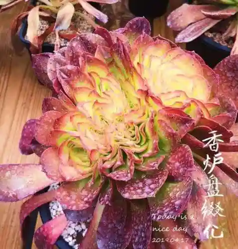 法师最牛最霸气名字(一眼就看出是玩法师的ID)插图34