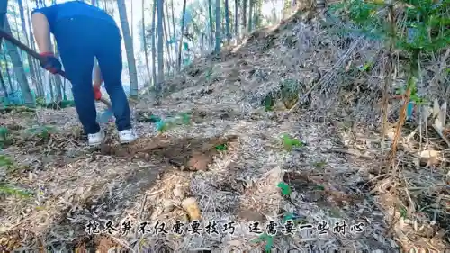 挖派最强阵容搭配(决斗大师阵容搭配)插图1