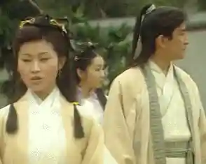 九阴真经40集完整版(1993九阴真经演员表)插图8