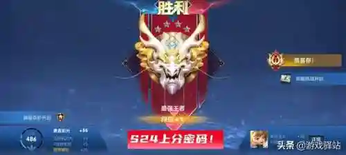 扁鹊加肉阵容怎么搭配(扁鹊又肉伤害又高的出装)