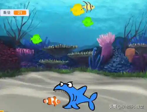 鲨鱼吃小鱼的游戏(鱼吃鱼游戏投诉电话)