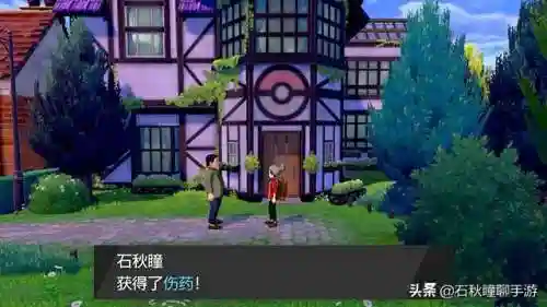 口袋妖怪珍珠一周目攻略(珍珠钻石一周目图文攻略)插图8