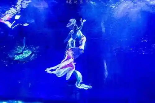 炫舞极地搭配阵容(炫舞时尚先锋sss搭配)插图26