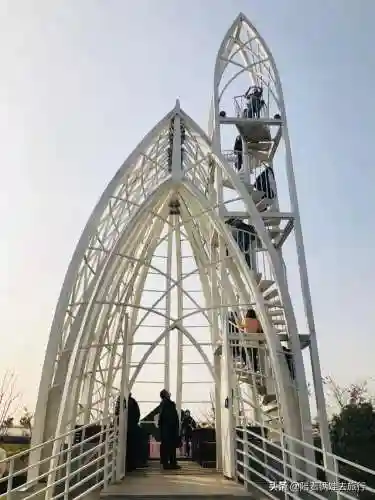 洛克王国紫藤快速获得(洛克王国紫藤150怎么弄)插图44