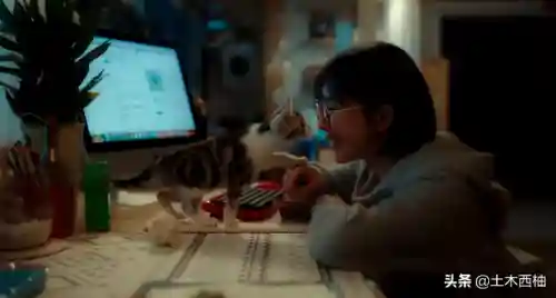 拯救狗狗冒险阵容搭配(拯救小宇宙阵容值得练)插图6