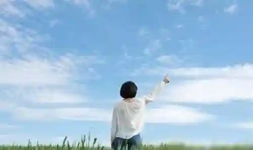 2022年最后一天(2022年12月31日)插图1