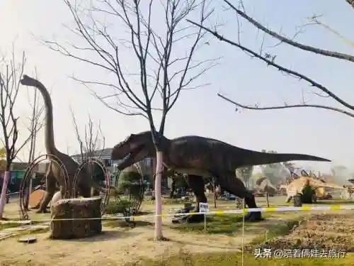 洛克王国紫藤快速获得(洛克王国紫藤150怎么弄)插图25