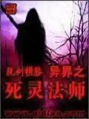 异界之亡灵召唤师(主角是亡灵法师能召唤骷髅)插图2