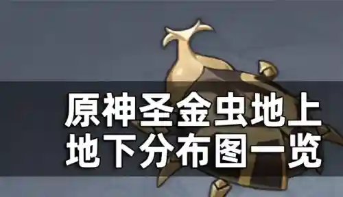圣金甲虫采集路线(圣金甲虫卡兹克值得买吗)
