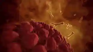 吞噬细胞阵容搭配(吞噬星空黎明零氪阵容推荐)插图19