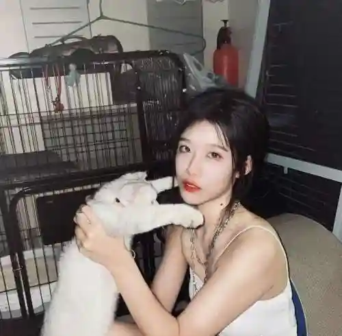 王者女主播阵容搭配表(王者公认四大最强女主播)插图27