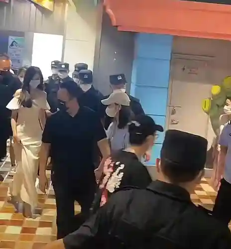 双排护卫阵容搭配(蜀盾最强阵容搭配)插图2