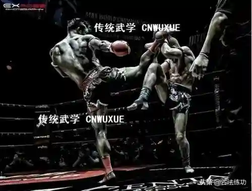 战法打法步法阵容搭配(率土之滨战法搭配)插图13