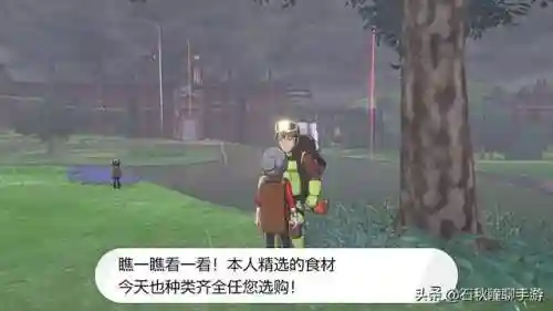 口袋妖怪珍珠一周目攻略(珍珠钻石一周目图文攻略)插图13