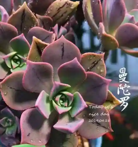法师最牛最霸气名字(一眼就看出是玩法师的ID)插图81