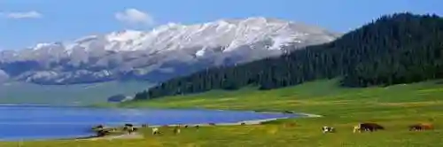 中国旅游地图高清版大图(全国旅游地图一览表)插图20