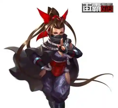 忍道阵容搭配2022(新版本忍法战场pve最佳阵容)插图1