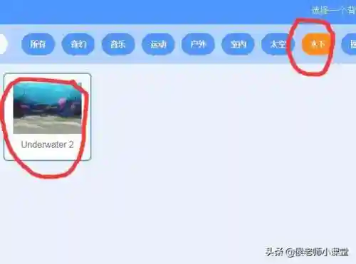 鲨鱼吃小鱼的游戏(鱼吃鱼游戏投诉电话)插图2