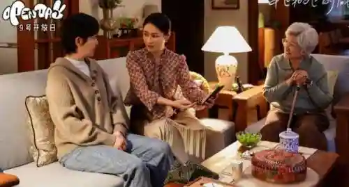 小城有人家阵容搭配(小城人家电话)插图9