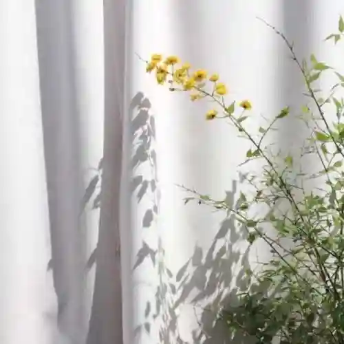 很暖很治愈的短句(三观超正的温柔句子)插图1