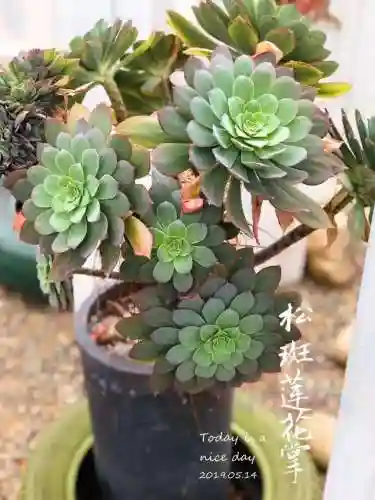 法师最牛最霸气名字(一眼就看出是玩法师的ID)插图91
